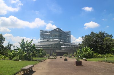 🌳 이바라키현 식물원(이바라키켄 쇼쿠부츠엔) 이미지 2